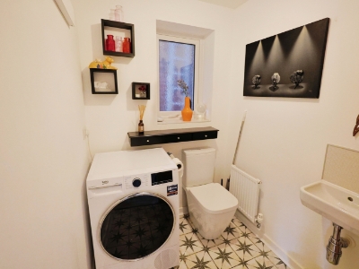 Picture 8